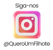 Instagram @queroumfilhote